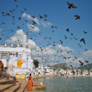 Pushkar 002 (300 x 300 px)